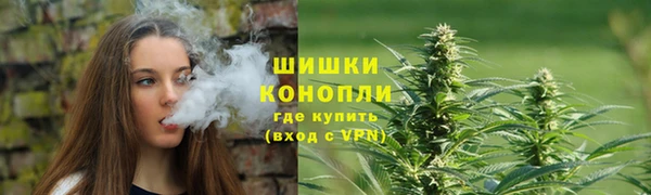бутират Инта