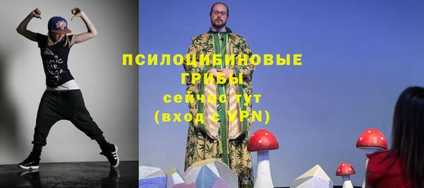 бутират Инта