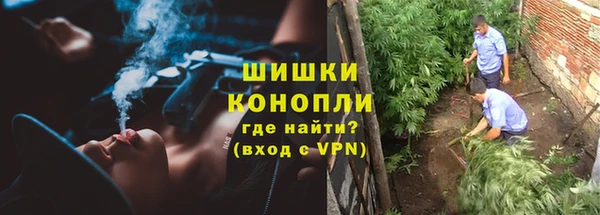 бутират Инта
