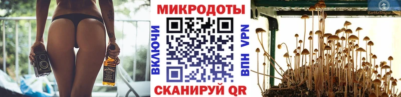 Купить  Вуктыл  Галлюциногенные грибы Psilocybine cubensis 